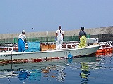 マグロ養殖漁場